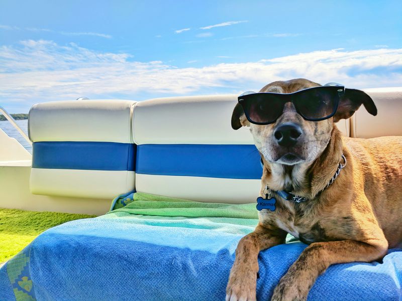 Vacanze Sguinzagliate